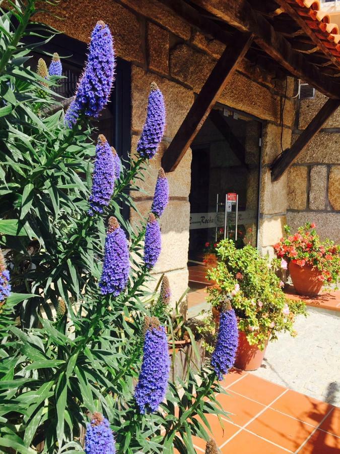 Apartament Casa Maximo Penafiel Zewnętrze zdjęcie